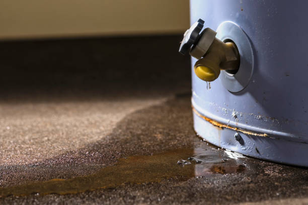 Best Carpet water damage restoration  in Loveland Park, OH