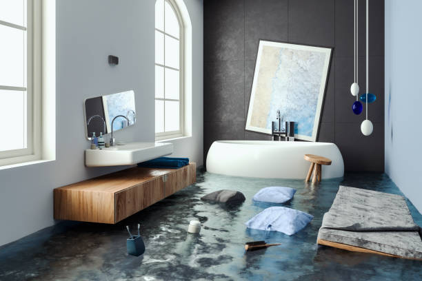 Best Flooded house restoration  in Loveland Park, OH