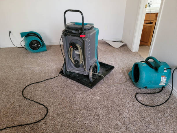 Best Water damage restoration specialists  in Loveland Park, OH