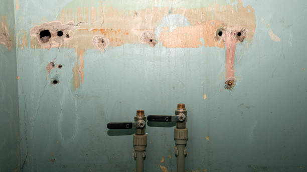 Best Local water damage restoration  in Loveland Park, OH