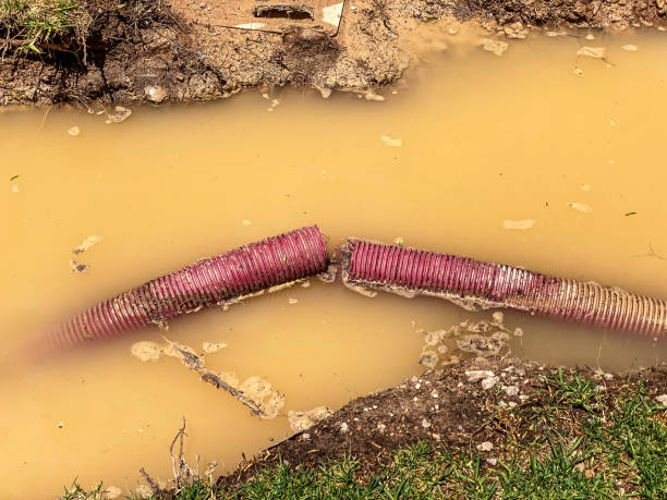 Best 24-hour water damage restoration  in Loveland Park, OH
